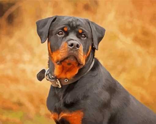 Rottweiler Dog Animal paint by numbers