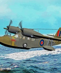 Royal Navy Seaplane paint by number