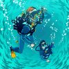 Scuba Diving paint by numbers