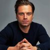 The Actor Sebastian Stan paint by numbers