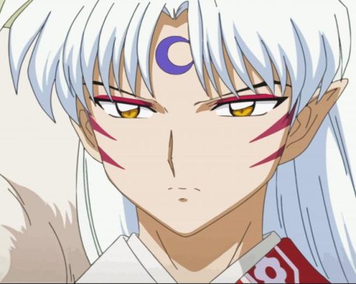 Sesshomaru Inuyasha paint by numbers