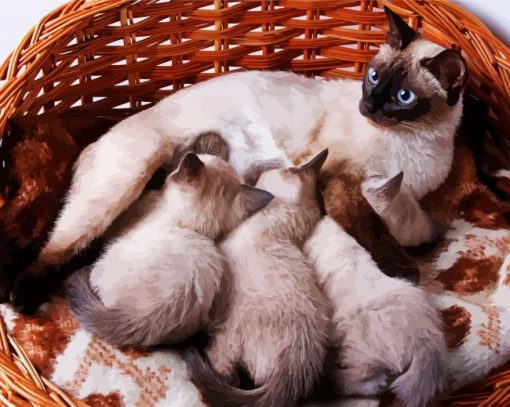 Siamese Cat With Kittens paint by numbers