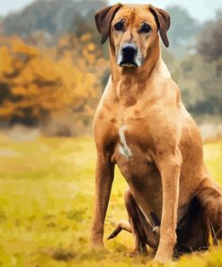 Strong Rhodesian Ridgeback Animal paint by number