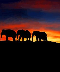 Sunset Elephants paint by numbers