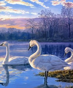 Swans On Lake paint by numbers