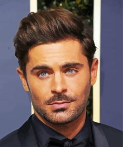 The American Actor Zac Efron paint by numbers