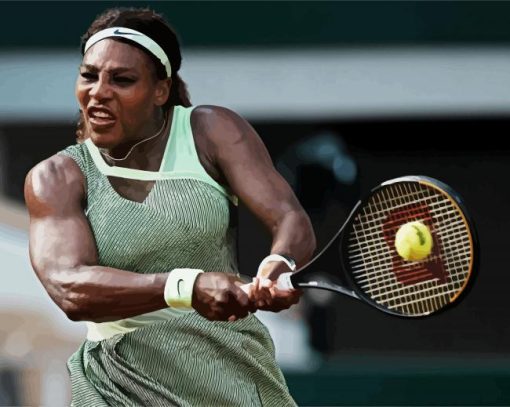 The Tennis Player Serena Williams paint by numbers