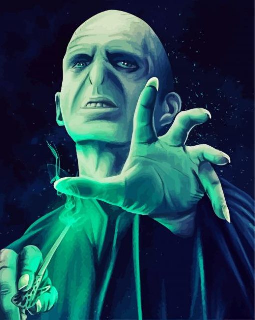 The Villain Voldemort Illustration paint by number