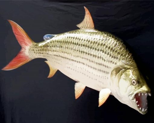 Tiger Fish paint by number