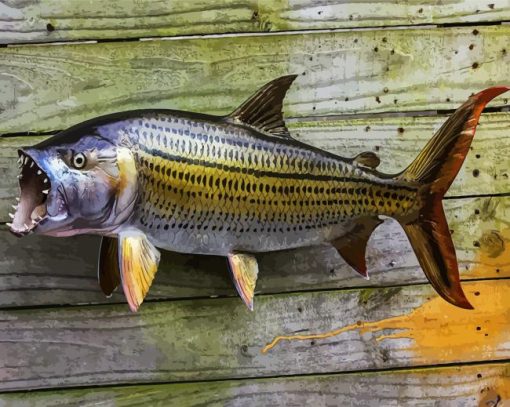 Tigerfish paint by number