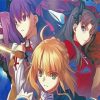 Video Game Fate Stay paint by numbers