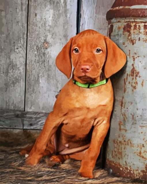 Vizsla Dog paint by number