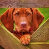 Vizsla Dog paint by number