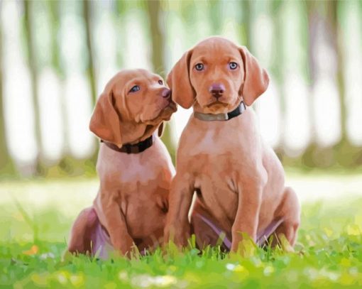 Vizsla Puppies Dogs paint by number