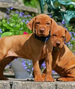 Vizsla Puppies paint by number