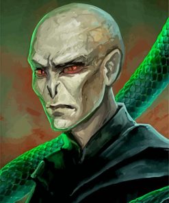 Voldemort Illustration paint by numbers