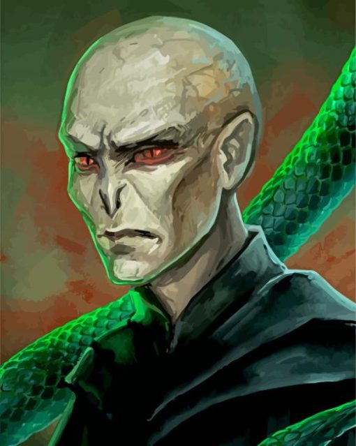 Voldemort Illustration paint by numbers