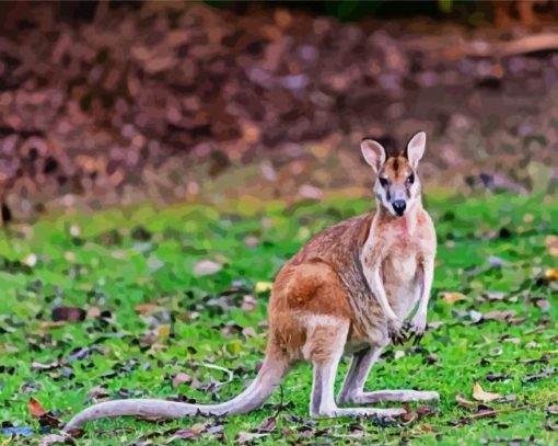 Wallaby Animal paint by number