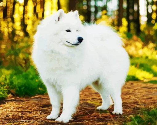 White Samoyed paint by numbers