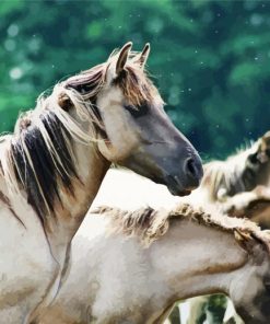 White Brumbies paint by number