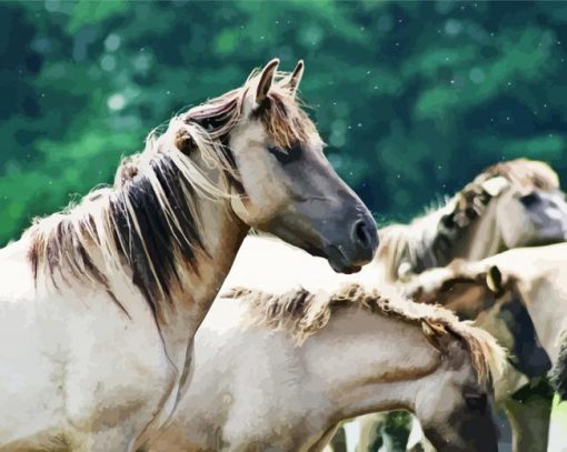 White Brumbies paint by number