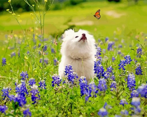 White Dog Watching Butterflly paint by number