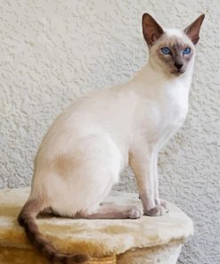 White Siamese paint by number