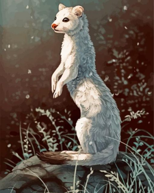 White Stoat paint by number