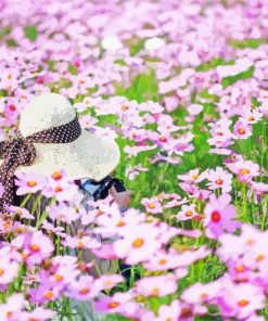 Woman In A Field Of Pink Flowers paint by number