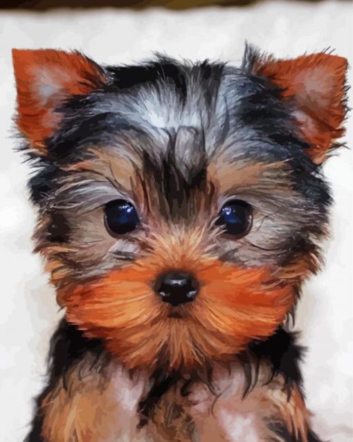 Yorkie Tea Cup paint by numbers