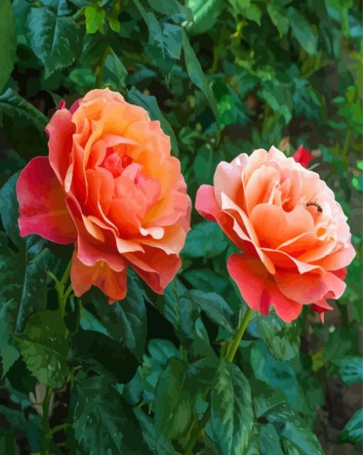 Beautiful Red And Orange Floribunda paint by numbers