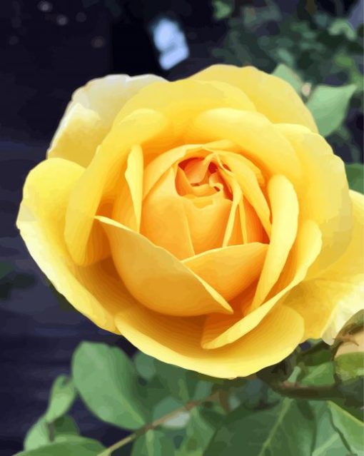 Beautiful Yellow Floribunda paint by number