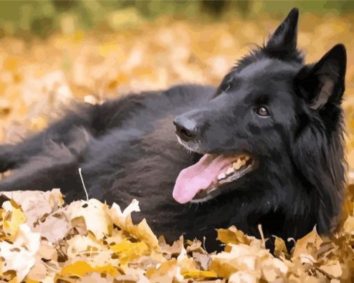 Belgian Shepherd Enjoying The Autumn paint by number