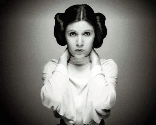 Black And White Princess Leia paint by numbers