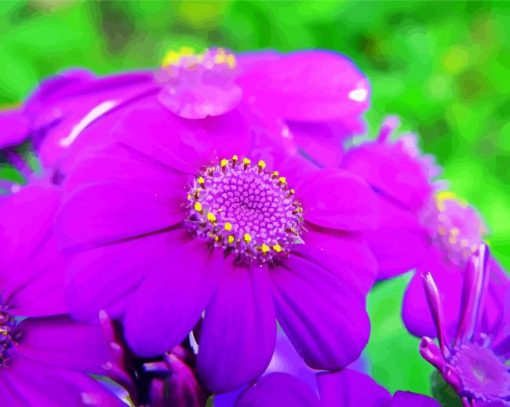 Bright Purple Flowers paint by number