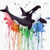 Colors Splatter Orca paint by number