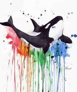 Colors Splatter Orca paint by number