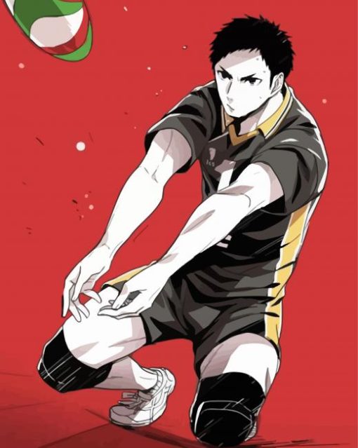 Daichi Sawamura A Playing Volleyball paint by number