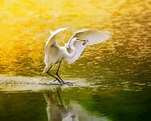 Egret Bird paint by numbers