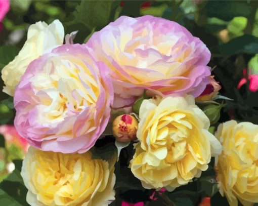 Floribunda Flowers paint by numbers