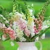 Foxglove Plants Vase paint by number