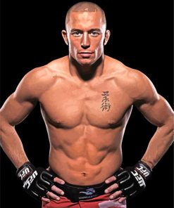 Georges St Pierre paint by number