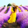 Girl In Lavender Field paint by numbers