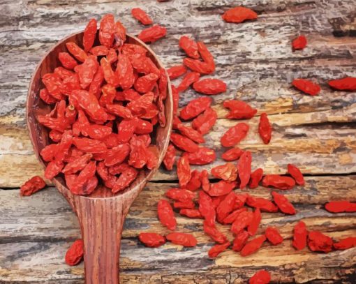 Goji Berries paint by number