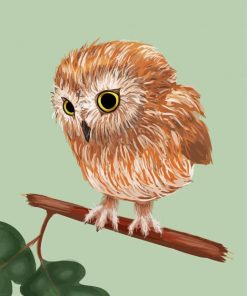 Harry Potter Pigwidgeon Owl paint by number