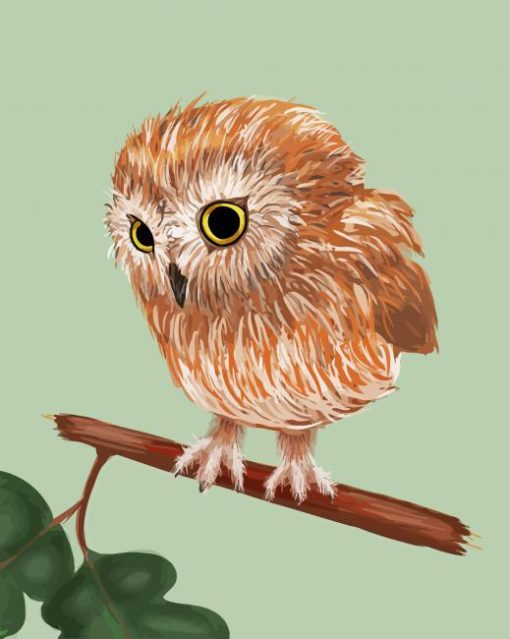 Harry Potter Pigwidgeon Owl paint by number