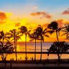 Honolulu Oahu Sunset Silhouette paint by number