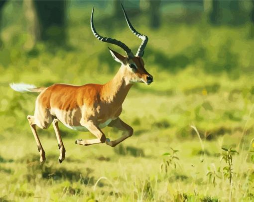 Impala Running paint by numbers