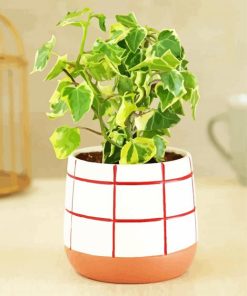 Ivy Plant Pot paint by numbers