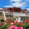 Lhasa Potala Palace paint by number